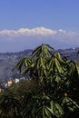 panorama of beautiful darjeeling hill station and snowcapped mount kangchenjunga