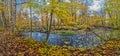 Panorama of the beautiful Fletcher Creek in fall with milky flows, Mississauga, ON, Canada