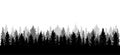 Panorama of beautiful forest, silhouette. All spruces are separated from each other. Vector illustration