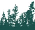 Panorama of beautiful forest, silhouette of firs, pines and different deciduous trees. Vector illustration Royalty Free Stock Photo
