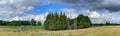 Panorama of beautiful Latvian rural landscape with flowering meadows in warm summer day