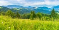 Panorama of a beautiful meadow in mountains Royalty Free Stock Photo