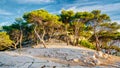 Panorama Of Beautiful Nature Of Calanques On The Azure Coast Of France Royalty Free Stock Photo