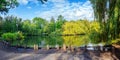 Natural vegetation and trees reflected in a pond in Orpington