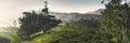 Panorama of Beautiful Sunrise Tea Plantation Concept Royalty Free Stock Photo