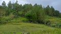 panorama of beauty and customs in a village as well as natural green forests and lakes that are fresh for the eyes Royalty Free Stock Photo