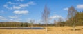 Panorama of a birch tree at a little pool in Duurswouderheide