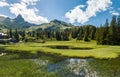 Panorama of Black Lake Schwarzsee marshland with summer vegetation