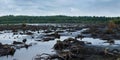 Panorama of Blakemere Moss in Delamere Forest, Cheshire, UK