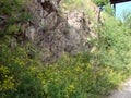 Panorama of blooming spring nature on the rocky shores of the Dnieper island of Khortytsia. Royalty Free Stock Photo