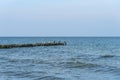 Panorama of the blue Baltic sea with blue sky and seagulls Royalty Free Stock Photo