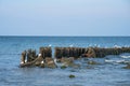 Panorama of the blue Baltic sea with blue sky and seagulls Royalty Free Stock Photo