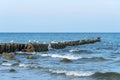 Panorama of the blue Baltic sea with blue sky and seagulls Royalty Free Stock Photo