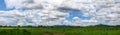 Panorama blue sky and beautiful cloud with meadow tree