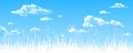 Panorama - the blue sky, clouds, wild grasses