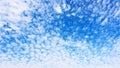 Panorama of the blue sky with fleecy clouds