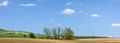 Panorama with blue sky and grove with little chapel