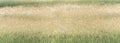 Panorama blurred beautiful overgrown meadow. Calm of country field landscape background. soft focus