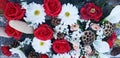 Panorama of a bouquet of dead roses and daisies Royalty Free Stock Photo