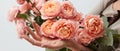 In girl hands bouquet with pink ranunculus isolated on white background. Royalty Free Stock Photo
