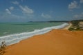 Panorama of brasilian beach bathed by ocean waves