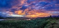 Panorama of bright orange and yellow sunset with blue clouds, thick tall grass and a flat lazy river Royalty Free Stock Photo