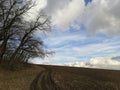 Panorama brown field