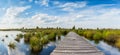 Panorama bug moor landscape as a panorama at the Hohes Venn with lake, trees and a wooden trail at sunset Royalty Free Stock Photo