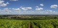 Panorama Burgundy with village Meursalt