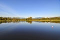 Panorama of Burnaby Lake