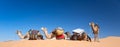 Panorama of camels in the Sand dunes desert of Sahara South Tunisia Royalty Free Stock Photo