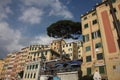 Panorama Camogli