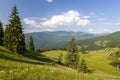 Panorama of Carpathian mountains in summer with lonely pine tree Royalty Free Stock Photo