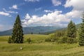 Panorama of Carpathian mountains in summer with lonely pine tree Royalty Free Stock Photo