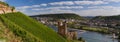 Panorama of castle Ehrenfels Royalty Free Stock Photo