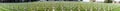 Panorama Cemetery world war one in France Vimy La Targette. Royalty Free Stock Photo