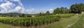 Panorama Chateau de Santenay in Burgundy Royalty Free Stock Photo