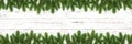 Panorama of Christmas background with fir tree branches on white rustic wooden board. Holiday Christmas composition top Royalty Free Stock Photo