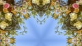 Panorama Circular and angular floral design with colorful flowers from a wedding