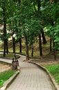 Panorama of the city park. Descent, along the cobblestone alley of the park.