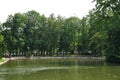 Panorama of the city pond. View of the pond and trees along the banks of the pond.