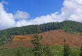 Panorama - Clear cut logging slope Royalty Free Stock Photo