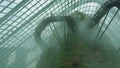 Panorama of cloud forest dome conservative in mist, Gardens by the Bay in Singapore