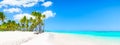 Panorama of Coconut Palm trees on white sandy beach in Punta Cana, Dominican Republic