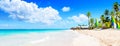 Panorama of coconut Palm trees on white sandy beach in Punta Cana, Dominican Republic Royalty Free Stock Photo