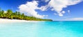 Panorama of coconut palm trees on white sandy beach in Saona island, Dominican Republic Royalty Free Stock Photo