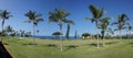 Panorama, coconut palms on golf course fairways