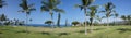 Panorama, coconut palms on golf course fairways