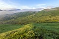 Panorama of cold foggy summer morning in the Carpathian mountain Royalty Free Stock Photo