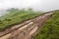 Panorama of cold foggy summer morning in the Carpathian mountain Royalty Free Stock Photo